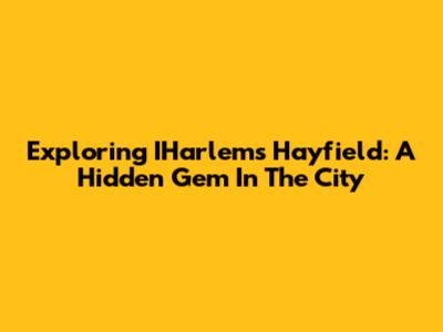 Exploring IHarlem's Hayfield: A Hidden Gem In The City