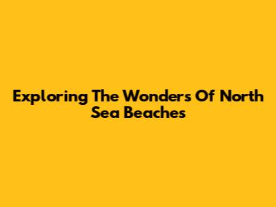 Exploring The Wonders Of North Sea Beaches