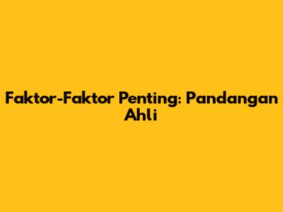 Faktor-Faktor Penting: Pandangan Ahli