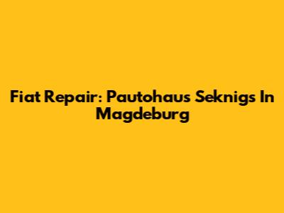 Fiat Repair: Pautohaus Seknigs In Magdeburg