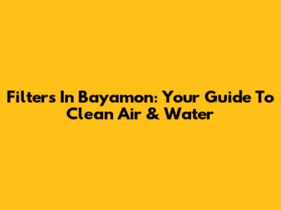 Filters In Bayamon: Your Guide To Clean Air & Water