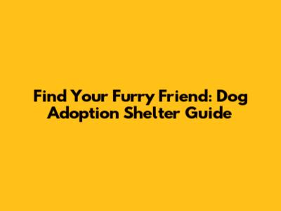 Find Your Furry Friend: Dog Adoption Shelter Guide