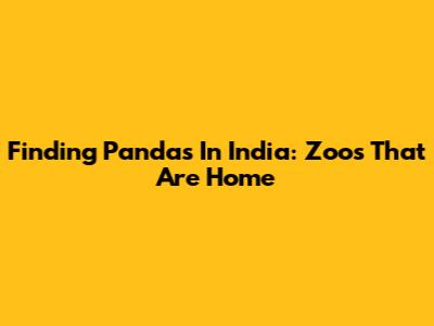 Finding Pandas In India: Zoos That Are Home