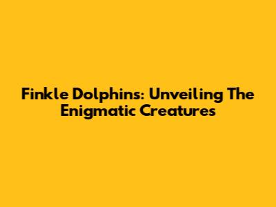 Finkle Dolphins: Unveiling The Enigmatic Creatures