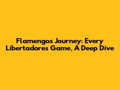 Flamengo's Journey: Every Libertadores Game, A Deep Dive