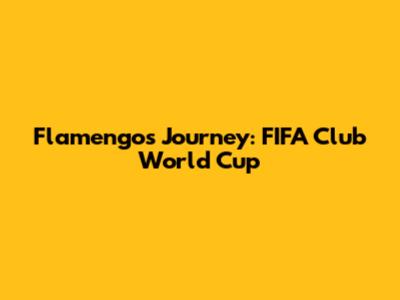 Flamengo's Journey: FIFA Club World Cup