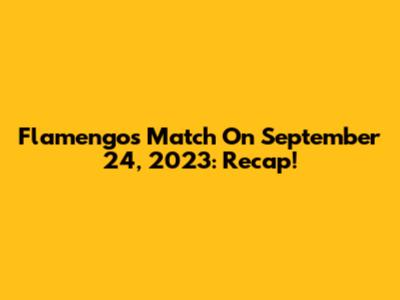 Flamengo's Match On September 24, 2023: Recap!