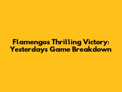Flamengo's Thrilling Victory: Yesterday's Game Breakdown