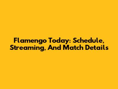 Flamengo Today: Schedule, Streaming, And Match Details