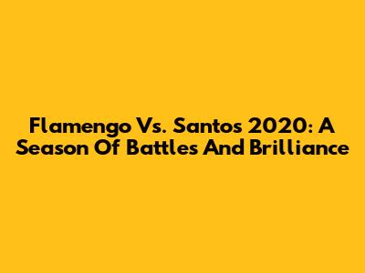 Flamengo Vs. Santos 2020: A Season Of Battles And Brilliance