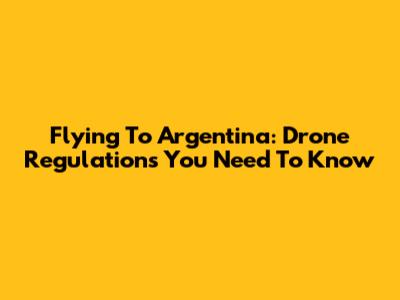 Flying To Argentina: Drone Regulations You Need To Know