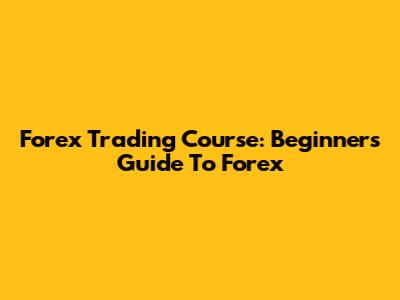 Forex Trading Course: Beginner's Guide To Forex