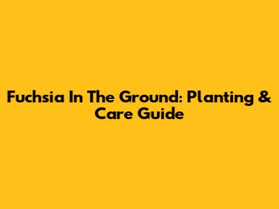 Fuchsia In The Ground: Planting & Care Guide