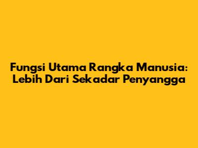Fungsi Utama Rangka Manusia: Lebih Dari Sekadar Penyangga