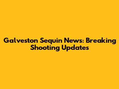 Galveston Sequin News: Breaking Shooting Updates