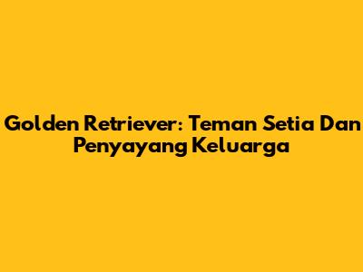 Golden Retriever: Teman Setia Dan Penyayang Keluarga