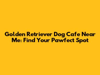 Golden Retriever Dog Cafe Near Me: Find Your Pawfect Spot