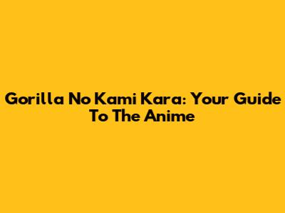 Gorilla No Kami Kara: Your Guide To The Anime