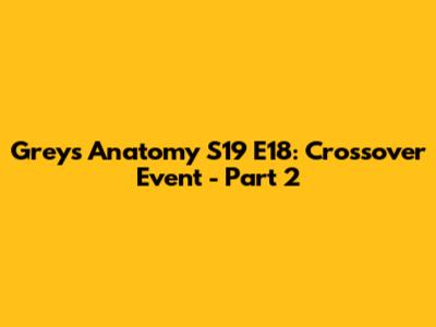 Grey's Anatomy S19 E18: Crossover Event - Part 2