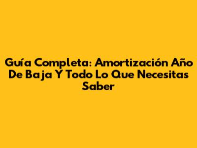 Guía Completa: Amortización Año De Baja Y Todo Lo Que Necesitas Saber