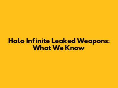 Halo Infinite Leaked Weapons: What We Know