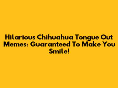 Hilarious Chihuahua Tongue Out Memes: Guaranteed To Make You Smile!