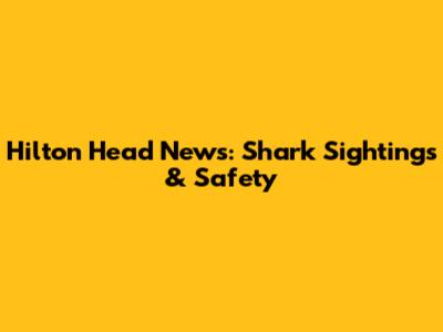 Hilton Head News: Shark Sightings & Safety