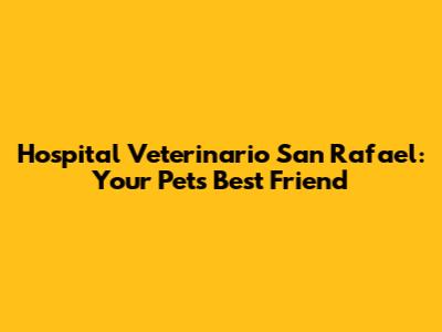 Hospital Veterinario San Rafael: Your Pet's Best Friend
