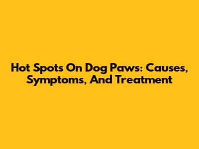 Hot Spots On Dog Paws: Causes, Symptoms, And Treatment