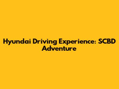 Hyundai Driving Experience: SCBD Adventure