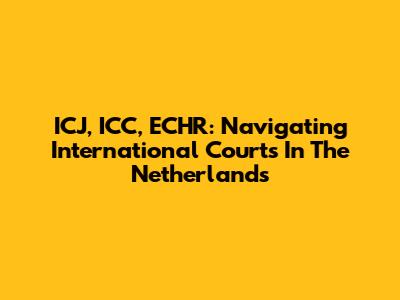 ICJ, ICC, ECHR: Navigating International Courts In The Netherlands