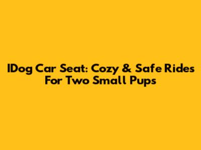 IDog Car Seat: Cozy & Safe Rides For Two Small Pups