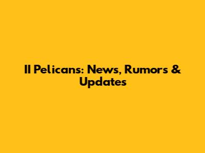 II Pelicans: News, Rumors & Updates