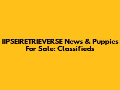 IIPSEIRETRIEVERSE News & Puppies For Sale: Classifieds