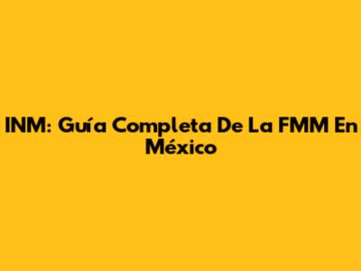 INM: Guía Completa De La FMM En México