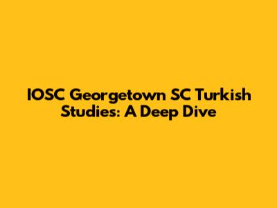 IOSC Georgetown SC Turkish Studies: A Deep Dive