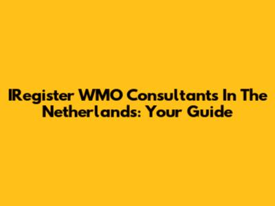 IRegister WMO Consultants In The Netherlands: Your Guide