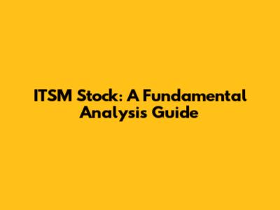 ITSM Stock: A Fundamental Analysis Guide