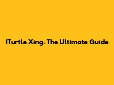 ITurtle Xing: The Ultimate Guide