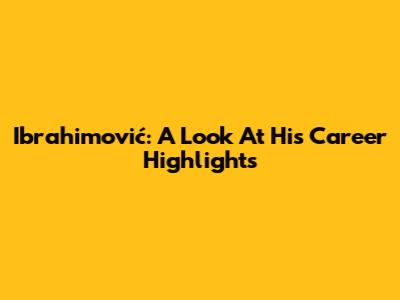 Ibrahimović: A Look At His Career Highlights