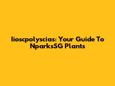 Iioscpolyscias: Your Guide To NparksSG Plants