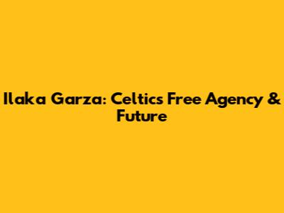 Ilaka Garza: Celtics Free Agency & Future