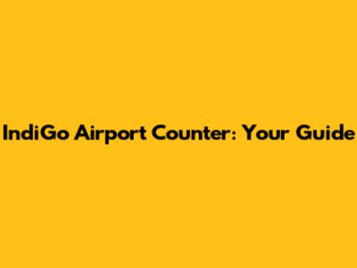 IndiGo Airport Counter: Your Guide