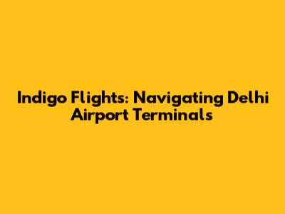 Indigo Flights: Navigating Delhi Airport Terminals