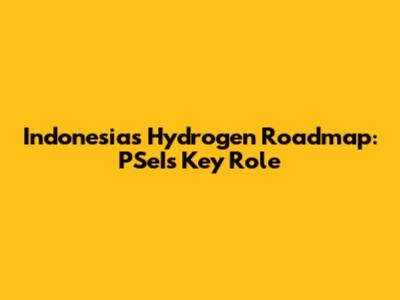 Indonesia's Hydrogen Roadmap: PSeI's Key Role