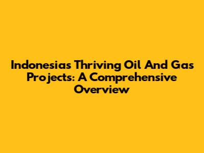 Indonesia's Thriving Oil And Gas Projects: A Comprehensive Overview