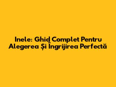 Inele: Ghid Complet Pentru Alegerea Și Îngrijirea Perfectă
