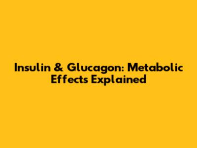 Insulin & Glucagon: Metabolic Effects Explained
