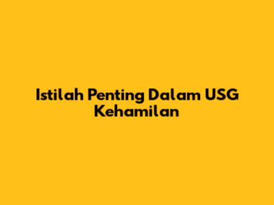 Istilah Penting Dalam USG Kehamilan