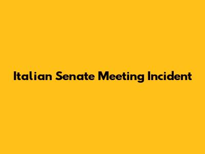 Italian Senate Meeting Incident